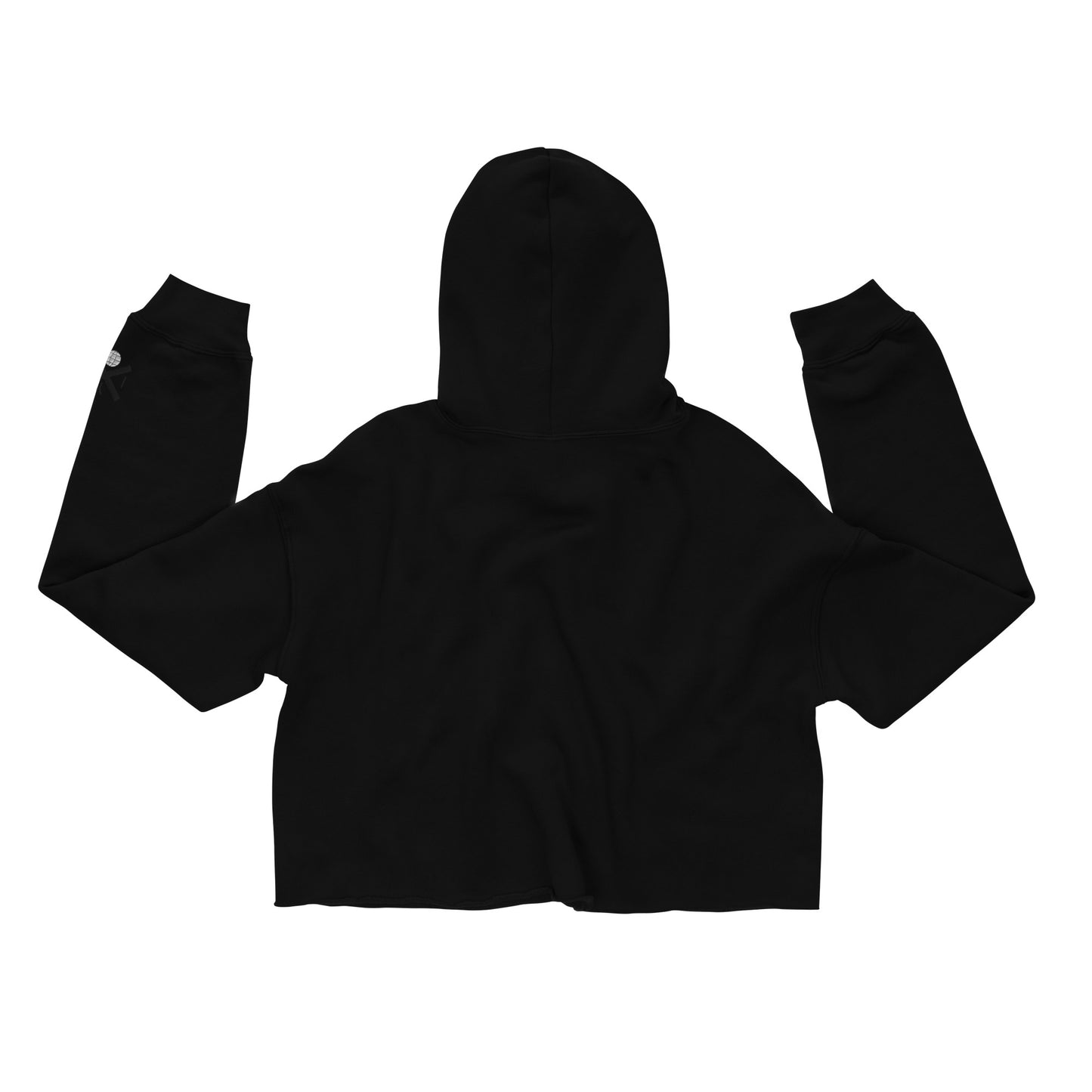 IYW Logo Crop Hoodie